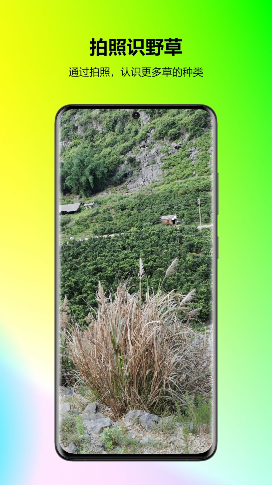 万能拍照识花安卓版app截图