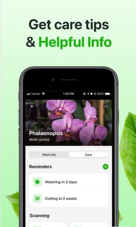 Florae植物养护安卓版app截图