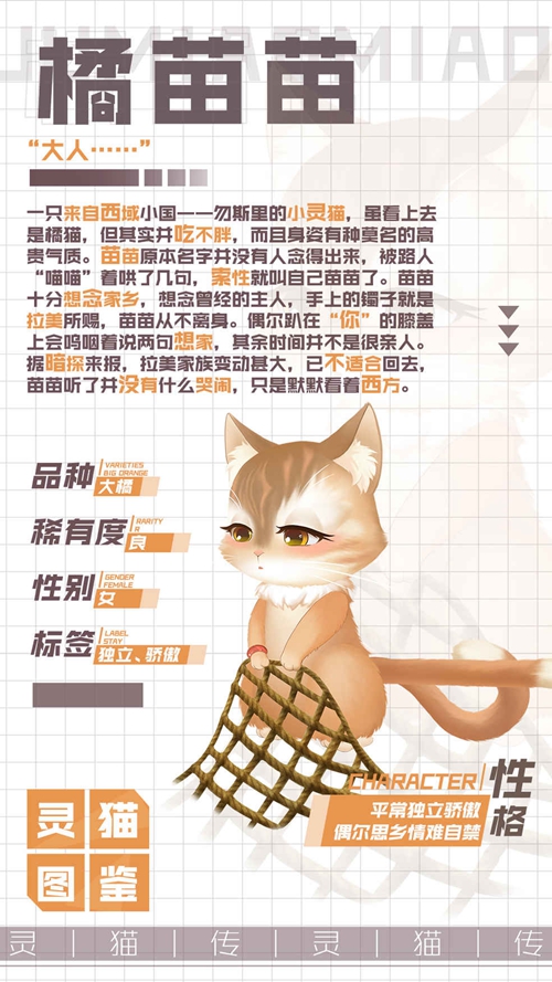 灵猫传橘苗苗怎么样图1