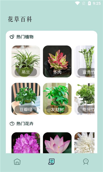 花草秒识别最新版图2