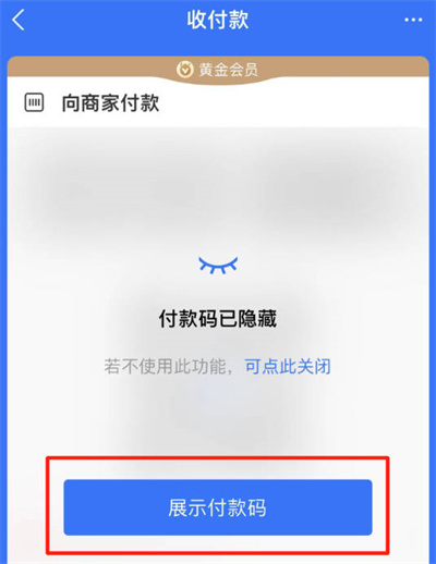 支付宝怎么设置自动隐藏收付款码[图片3]