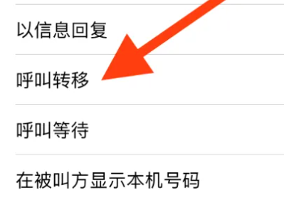 苹果15怎么设置呼叫转移 iphone15开启呼叫转移方法介绍图3