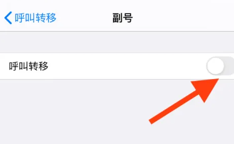 苹果15怎么设置呼叫转移 iphone15开启呼叫转移方法介绍图5