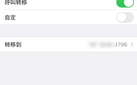 苹果15怎么设置呼叫转移 iphone15开启呼叫转移方法介绍图6