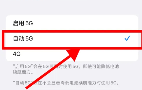 iphone15pro怎么打开5g网络 苹果15pro设置5g网络方法介绍图5